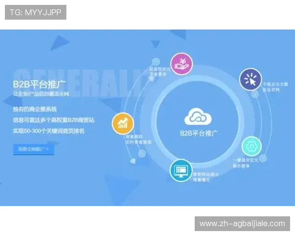 博鱼真人平台登录入口稳定性分析及优化建议确保顺畅体验